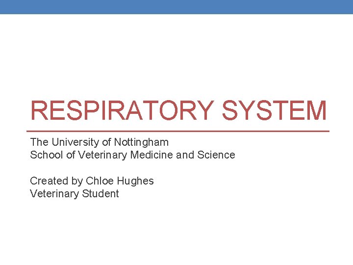Respiratory System The University Of Nottingham School Of Respiratory System The University Of Nottingham School Of