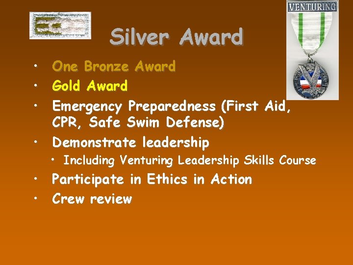 Silver Award • One Bronze Award • Gold Award • Emergency Preparedness (First Aid,