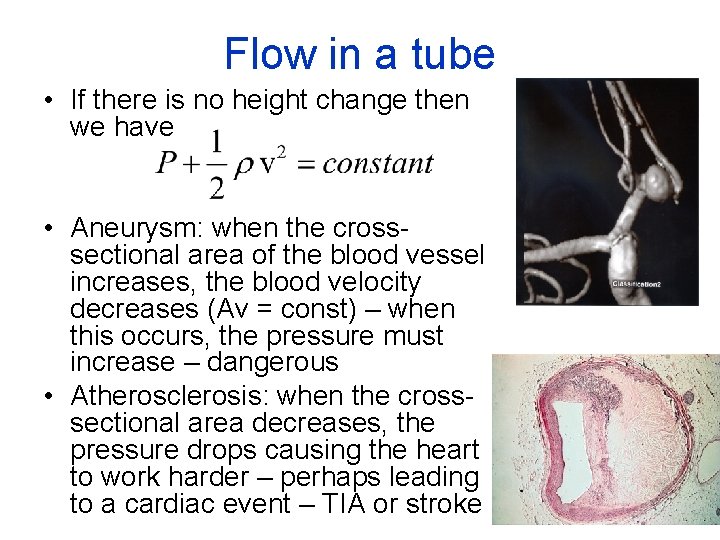 Flow in a tube • If there is no height change then we have