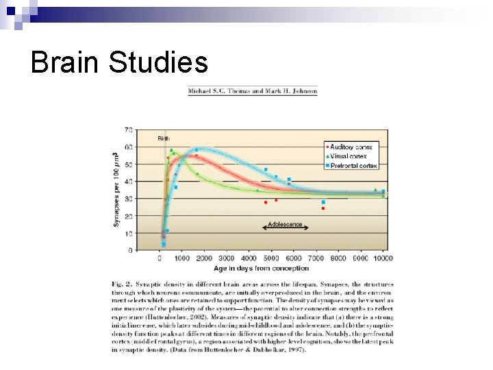 Brain Studies 