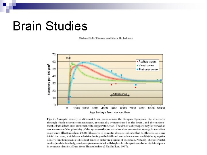 Brain Studies 