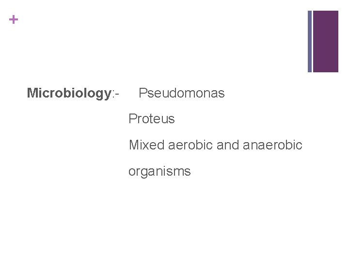 + Microbiology: - Pseudomonas Proteus Mixed aerobic and anaerobic organisms 