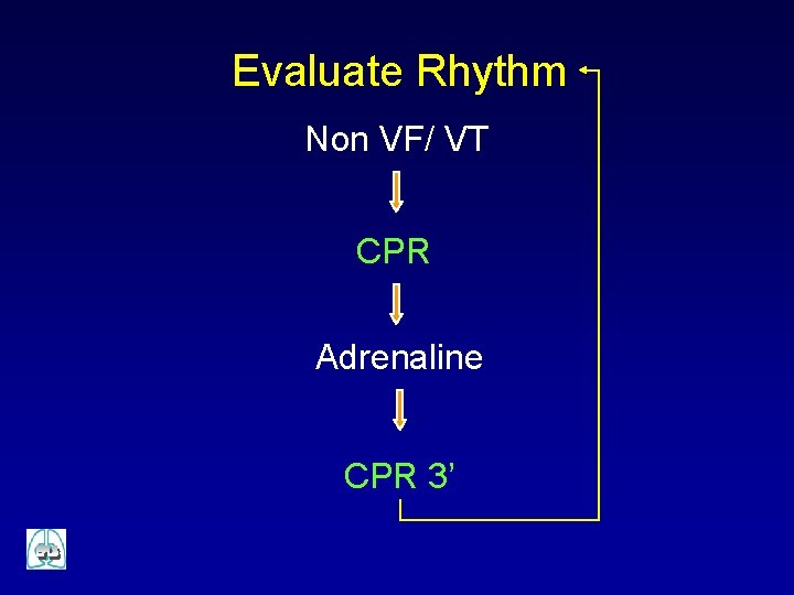 Evaluate Rhythm Non VF/ VT CPR Adrenaline CPR 3’ 