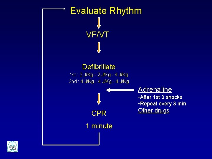 Evaluate Rhythm VF/VT Defibrillate 1 st : 2 J/Kg - 4 J/Kg 2 nd
