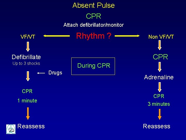 Absent Pulse CPR Attach defibrillator/monitor Rhythm ? VF/VT CPR Defibrillate Up to 3 shocks