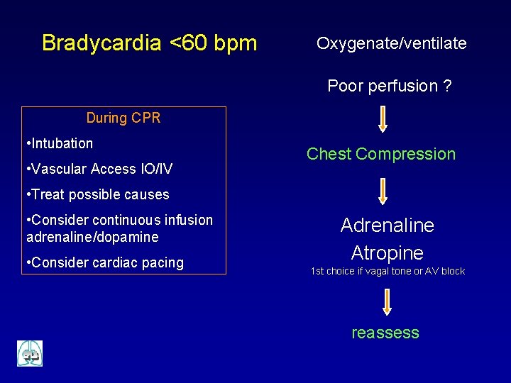 Bradycardia <60 bpm Oxygenate/ventilate Poor perfusion ? During CPR • Intubation • Vascular Access