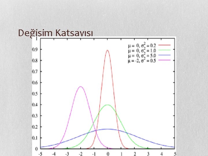 Değişim Katsayısı 