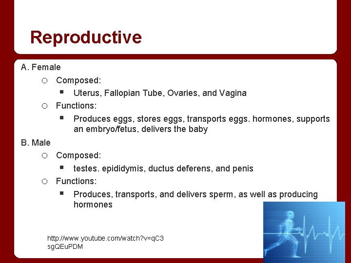 Reproductive A. Female o Composed: § Uterus, Fallopian Tube, Ovaries, and Vagina o Functions: