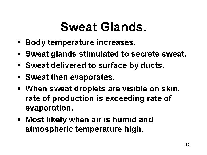Sweat Glands. § § § Body temperature increases. Sweat glands stimulated to secrete sweat.