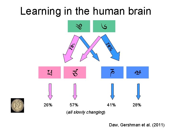 57% % 26% 70 70% Learning in the human brain 41% 28% (all slowly