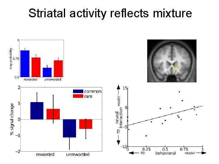Striatal activity reflects mixture 