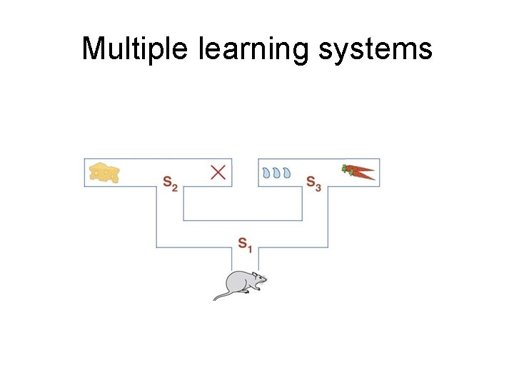 Multiple learning systems 