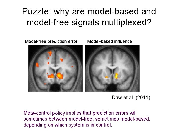 Puzzle: why are model-based and model-free signals multiplexed? Model-free prediction error Model-based influence Meta-control