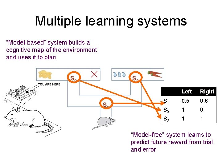 Multiple learning systems “Model-based” system builds a cognitive map of the environment and uses