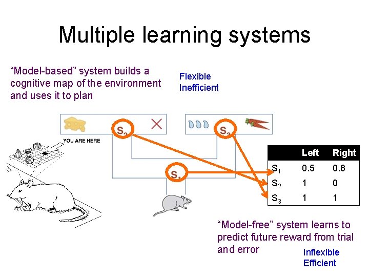 Multiple learning systems “Model-based” system builds a cognitive map of the environment and uses