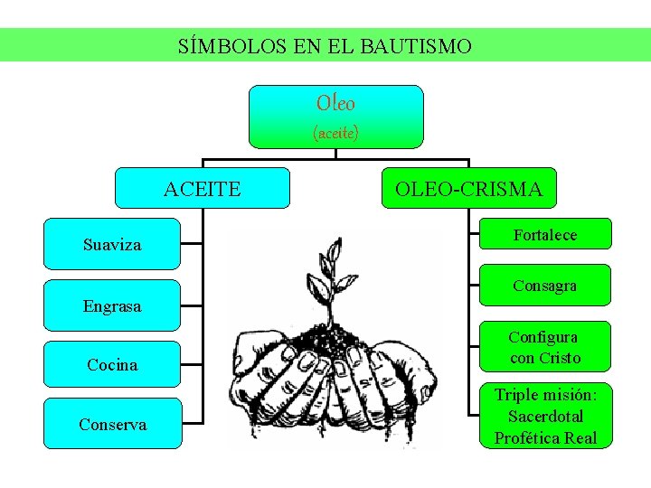 SÍMBOLOS EN EL BAUTISMO Oleo (aceite) ACEITE Suaviza OLEO-CRISMA Fortalece Consagra Engrasa Cocina Conserva