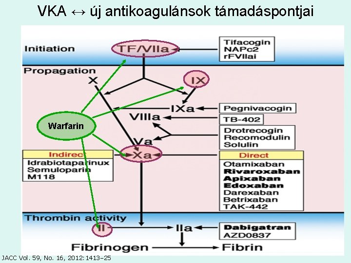 VKA ↔ új antikoagulánsok támadáspontjai Warfarin JACC Vol. 59, No. 16, 2012: 1413– 25