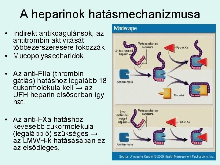 A heparinok hatásmechanizmusa • Indirekt antikoagulánsok, az antitrombin aktivitását többezerszeresére fokozzák • Mucopolysaccharidok •