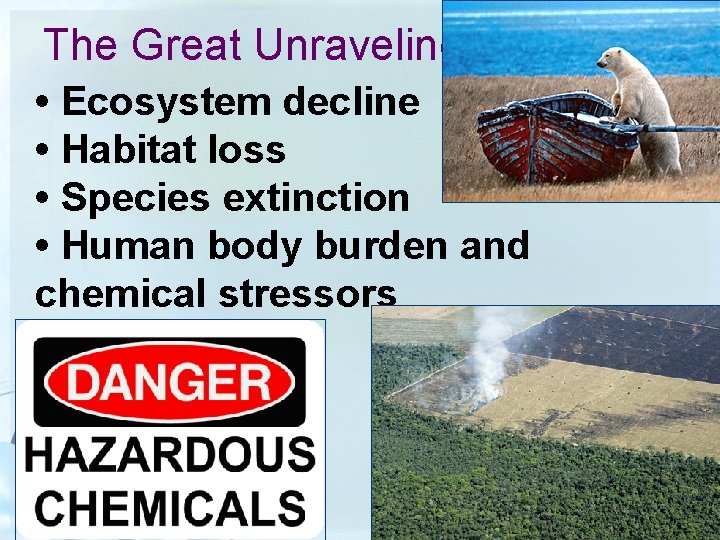 The Great Unraveling • Ecosystem decline • Habitat loss • Species extinction • Human