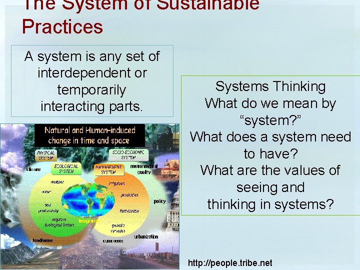 The System of Sustainable Practices A system is any set of interdependent or temporarily