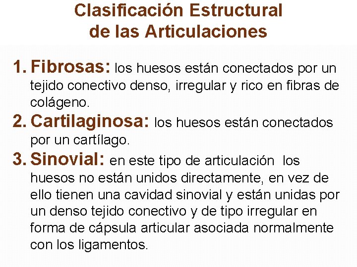 Clasificación Estructural de las Articulaciones 1. Fibrosas: los huesos están conectados por un tejido