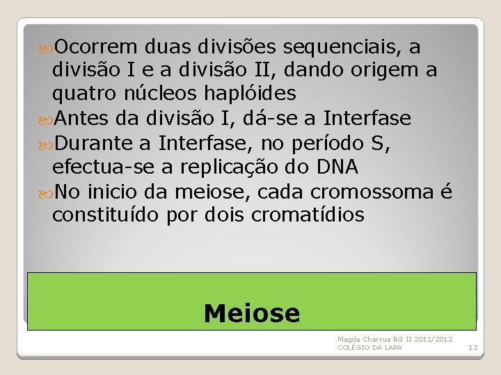  Ocorrem duas divisões sequenciais, a divisão I e a divisão II, dando origem