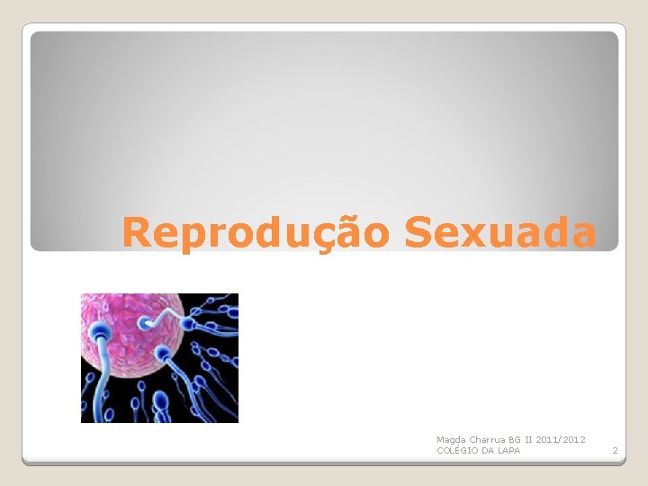Reprodução Sexuada Magda Charrua BG II 2011/2012 COLÉGIO DA LAPA 2 