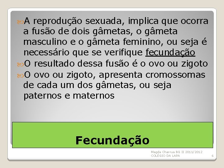  A reprodução sexuada, implica que ocorra a fusão de dois gâmetas, o gâmeta