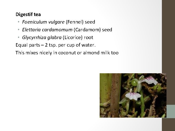 Digestif tea • Foeniculum vulgare (Fennel) seed • Elettaria cardamomum (Cardamom) seed • Glycyrrhiza