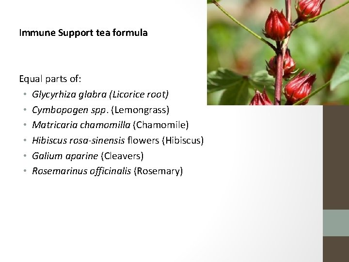 Immune Support tea formula Equal parts of: • Glycyrhiza glabra (Licorice root) • Cymbopogen