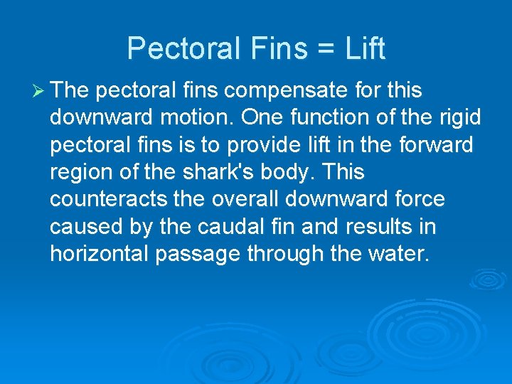 Pectoral Fins = Lift Ø The pectoral fins compensate for this downward motion. One