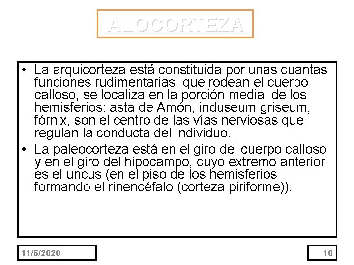 ALOCORTEZA • La arquicorteza está constituida por unas cuantas funciones rudimentarias, que rodean el