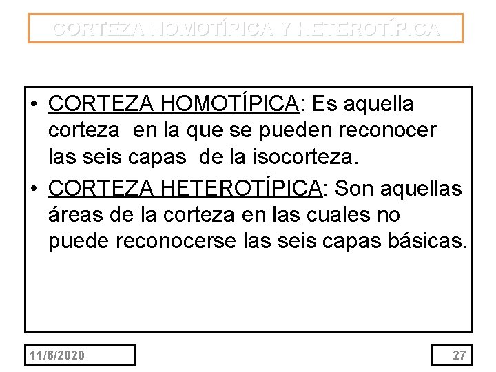 CORTEZA HOMOTÍPICA Y HETEROTÍPICA • CORTEZA HOMOTÍPICA: Es aquella corteza en la que se