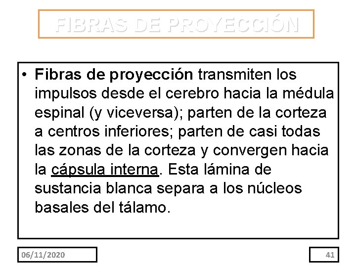 FIBRAS DE PROYECCIÓN • Fibras de proyección transmiten los impulsos desde el cerebro hacia