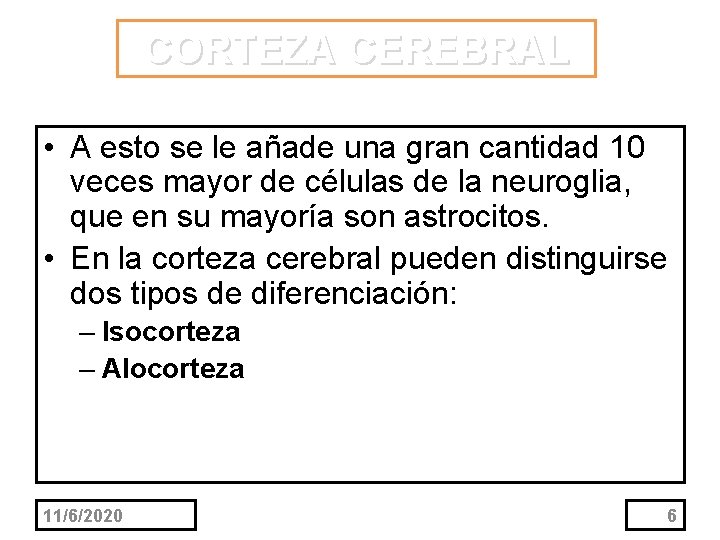 CORTEZA CEREBRAL • A esto se le añade una gran cantidad 10 veces mayor