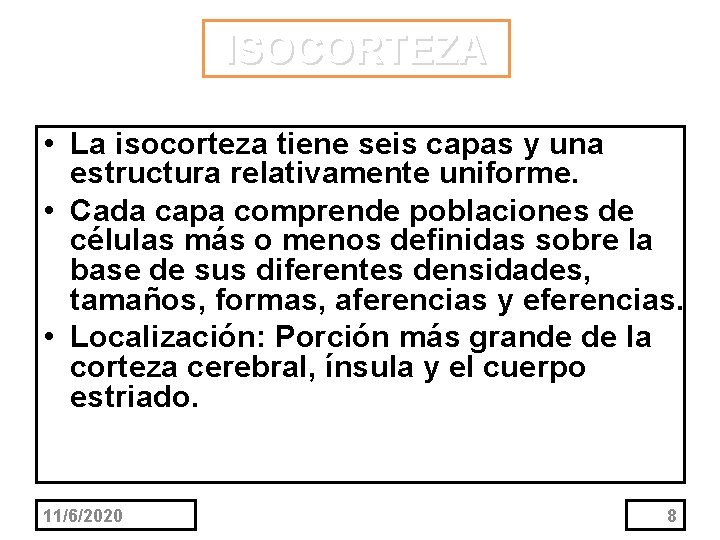 ISOCORTEZA • La isocorteza tiene seis capas y una estructura relativamente uniforme. • Cada