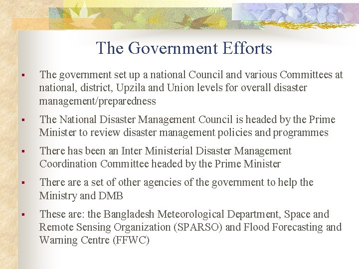 The Government Efforts § The government set up a national Council and various Committees