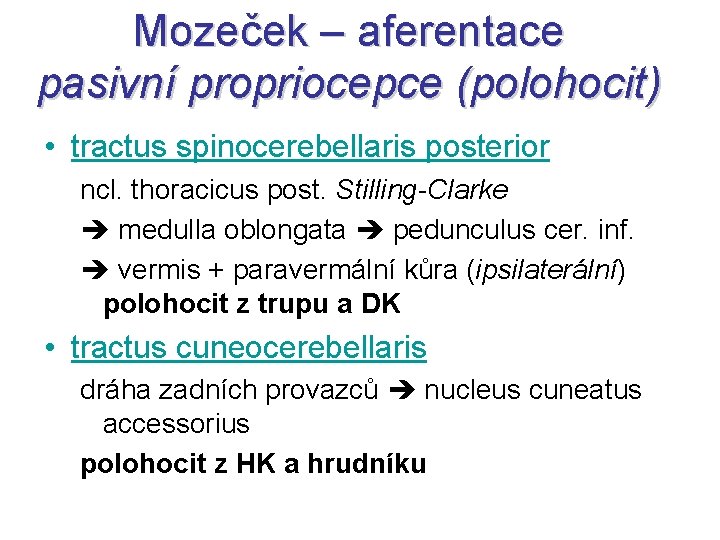 Mozeček – aferentace pasivní propriocepce (polohocit) • tractus spinocerebellaris posterior ncl. thoracicus post. Stilling-Clarke