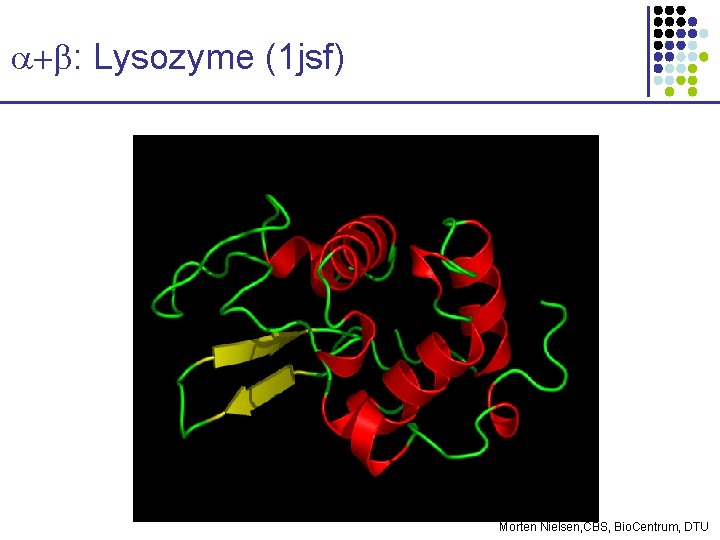 a+b: Lysozyme (1 jsf) Morten Nielsen, CBS, Bio. Centrum, DTU 