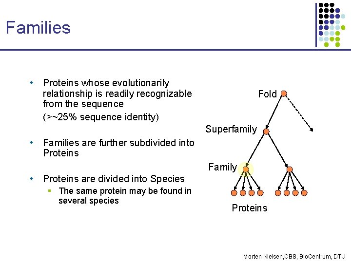 Families • Proteins whose evolutionarily relationship is readily recognizable from the sequence (>~25% sequence