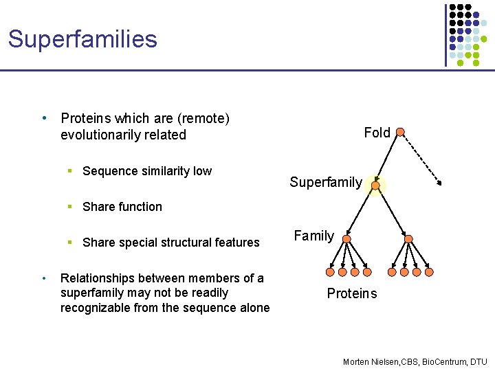 Superfamilies • Proteins which are (remote) evolutionarily related § Sequence similarity low Fold Superfamily