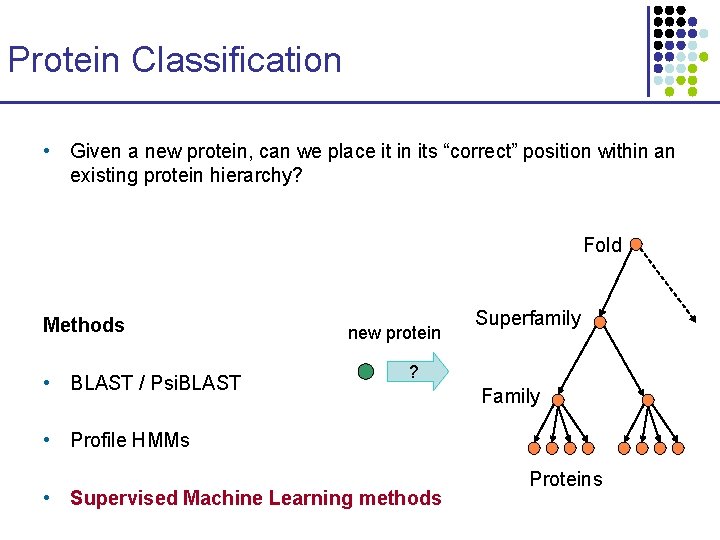 Protein Classification • Given a new protein, can we place it in its “correct”