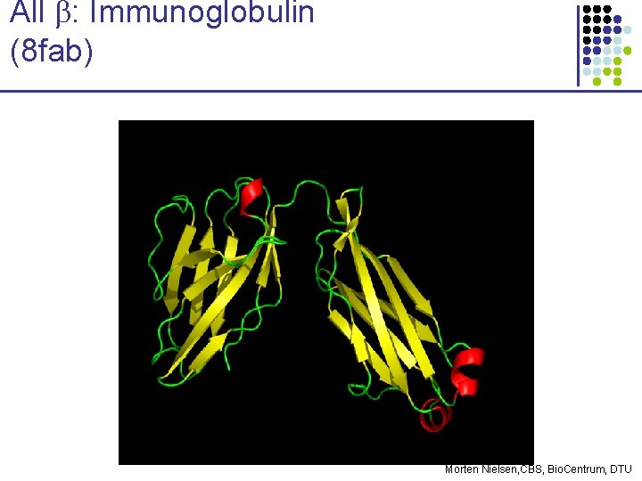 All b: Immunoglobulin (8 fab) Morten Nielsen, CBS, Bio. Centrum, DTU 