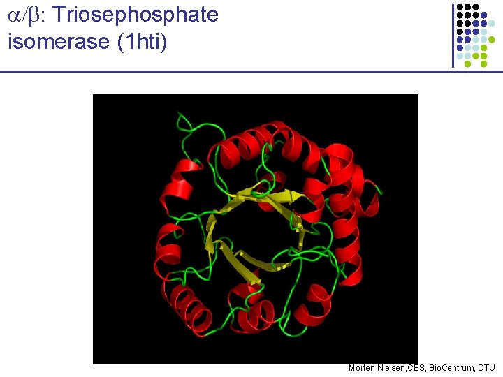 a/b: Triosephosphate isomerase (1 hti) Morten Nielsen, CBS, Bio. Centrum, DTU 