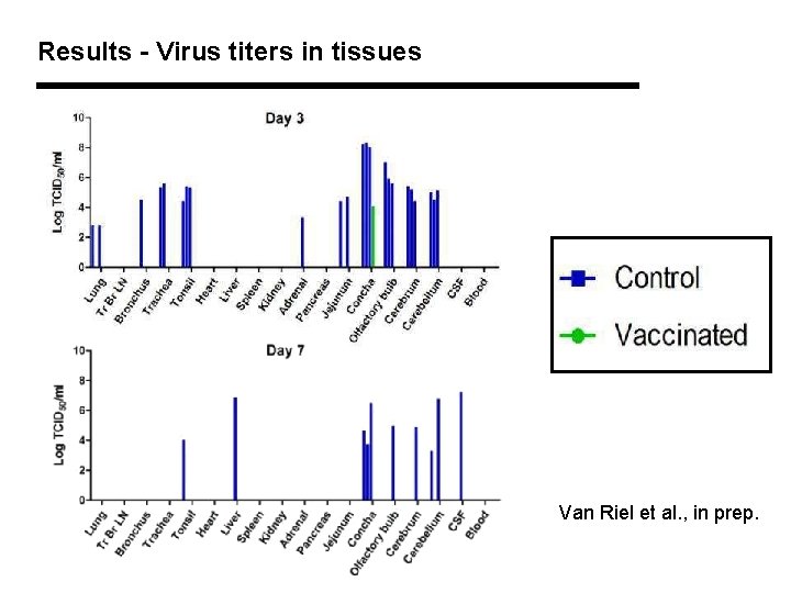 Results - Virus titers in tissues Van Riel et al. , in prep. 