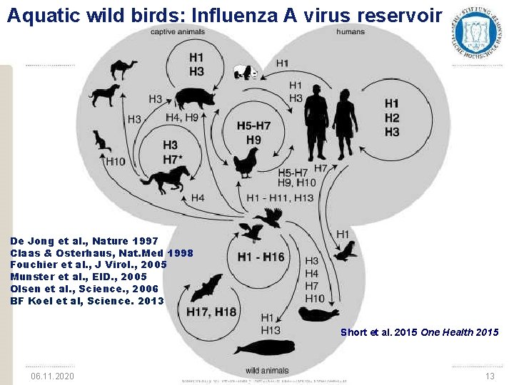 Aquatic wild birds: Influenza A virus reservoir De Jong et al. , Nature 1997