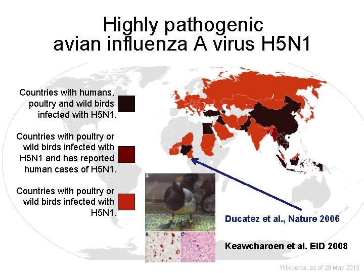 Highly pathogenic avian influenza A virus H 5 N 1 Countries with humans, poultry