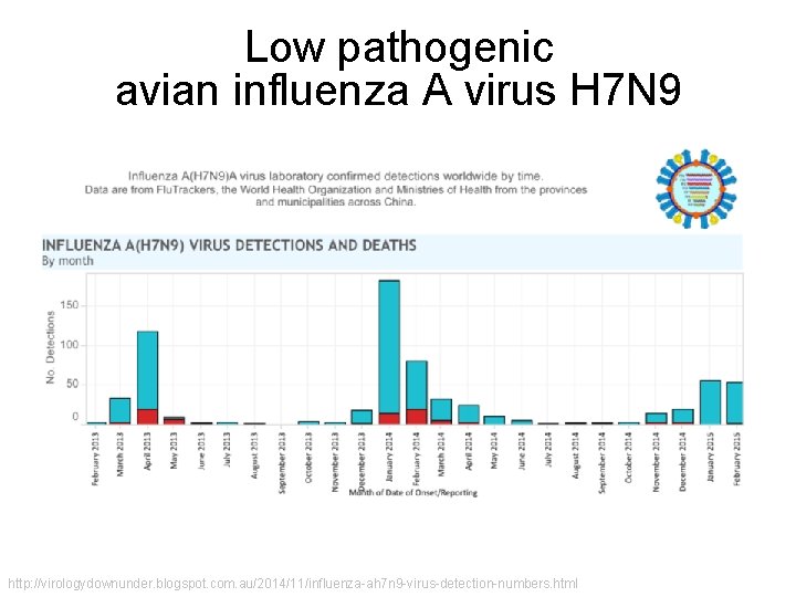 Low pathogenic avian influenza A virus H 7 N 9 http: //virologydownunder. blogspot. com.