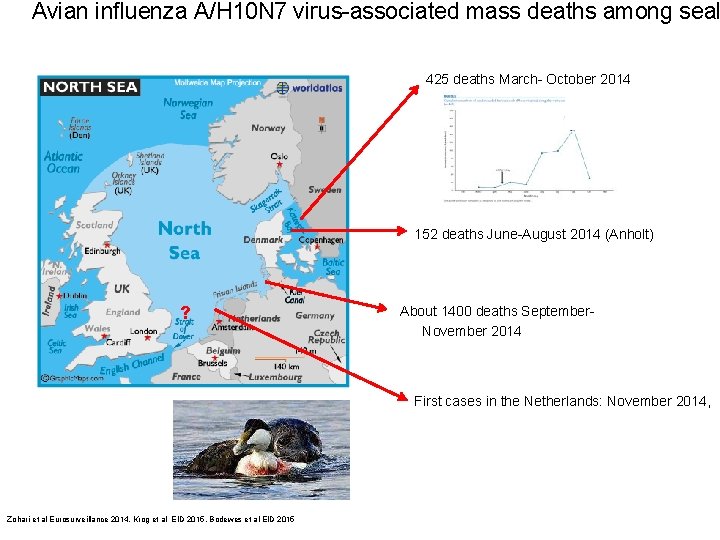 Avian influenza A/H 10 N 7 virus-associated mass deaths among seal 425 deaths March-