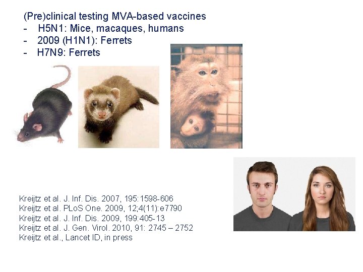 (Pre)clinical testing MVA-based vaccines - H 5 N 1: Mice, macaques, humans - 2009